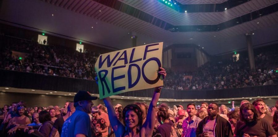 Phish song “Walfredo”
